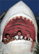 The 3 Jonah's - Just when you thought it was safe.